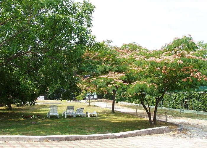 By The Sea Sveti Filip I Jakov, Biograd - 14319 *